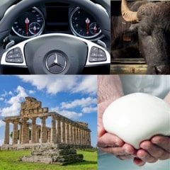 IL CILENTO IN UNA GIORNATA (Paestum & degustazioni)